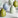 presentation image