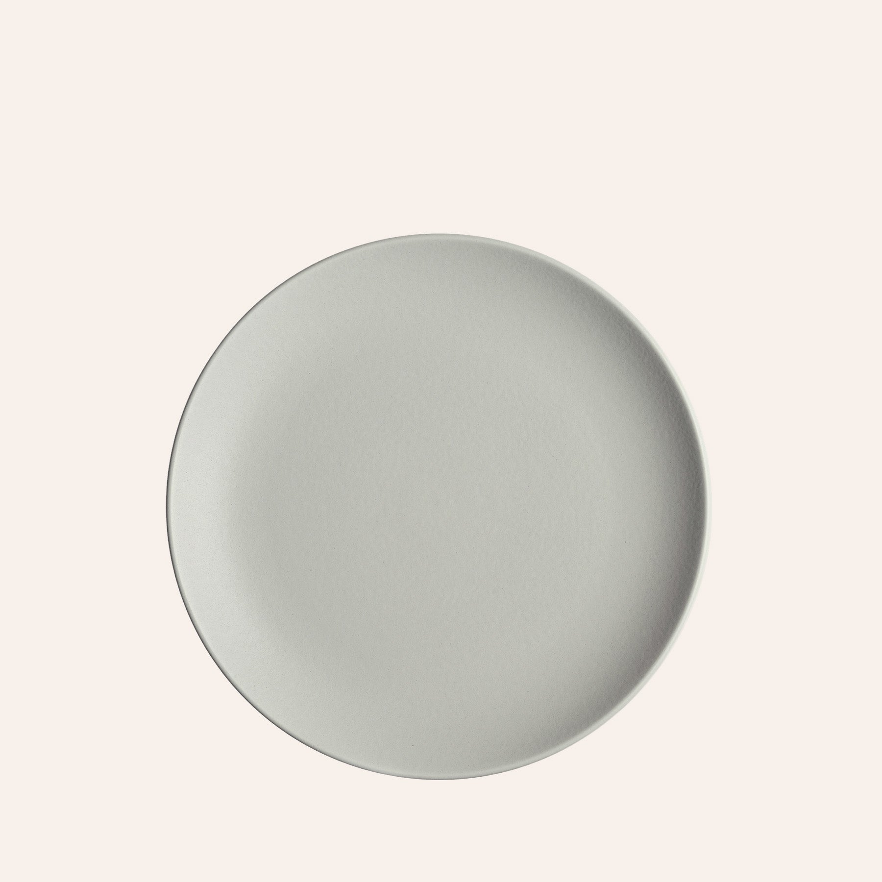 Dinner Plate
