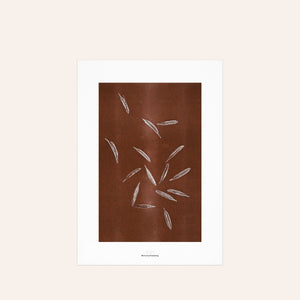 Origins No 2 Limited Print