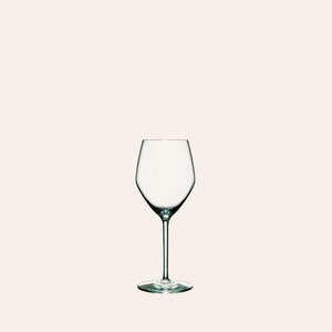 Perfection White Wine Glass (Set of 6)