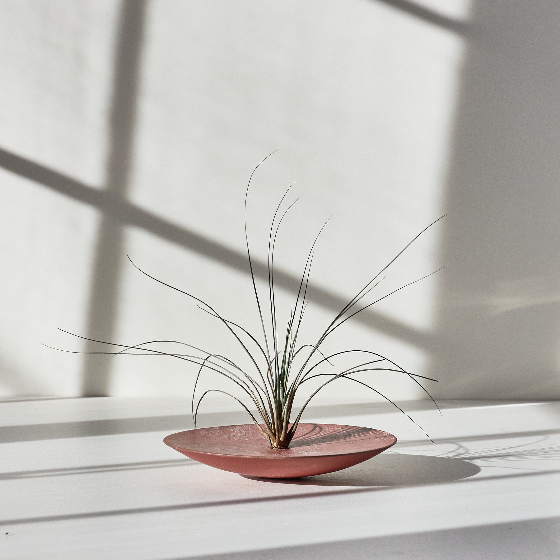 Heath Ceramics Design Series 9 Form 01